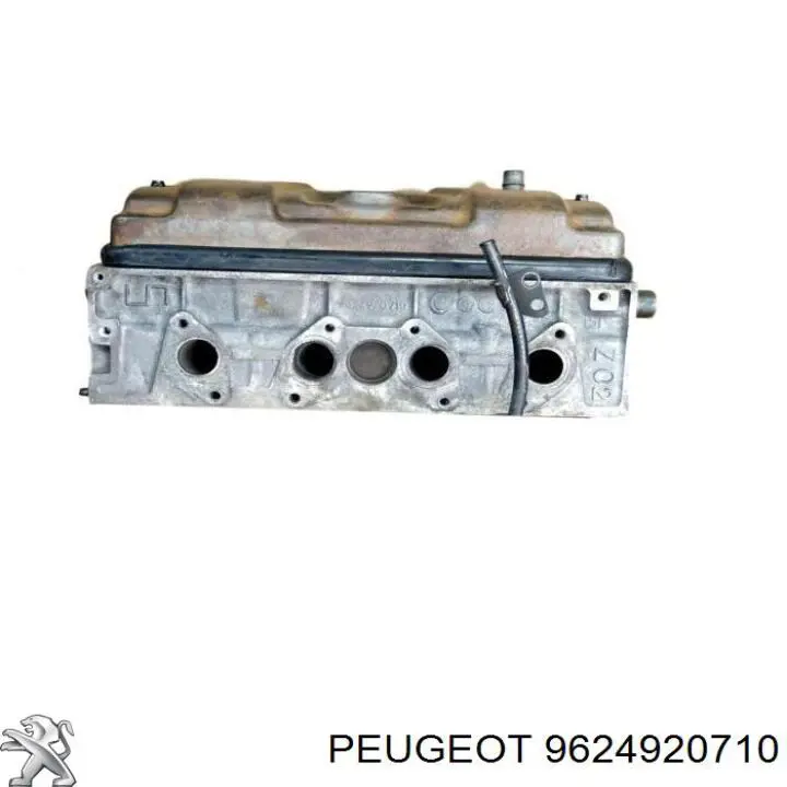 Купить 9624920710 Peugeot/Citroen 