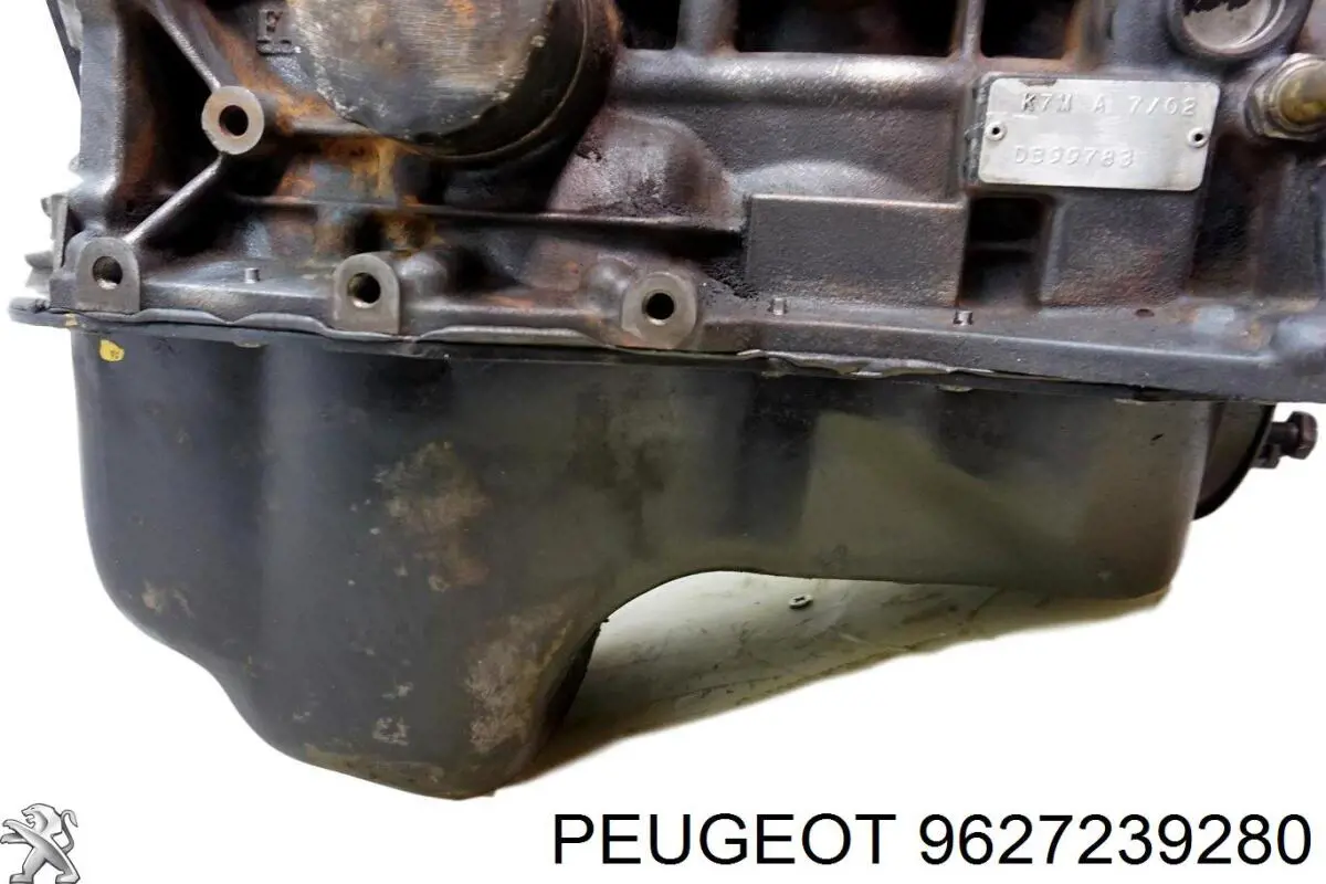 9627239280 Peugeot/Citroen 