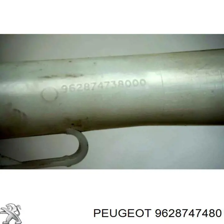 Купить 9628747480 Peugeot/Citroen 