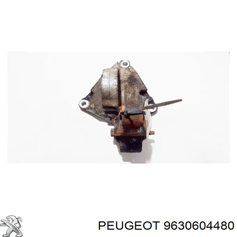 9630604480 Peugeot/Citroen 