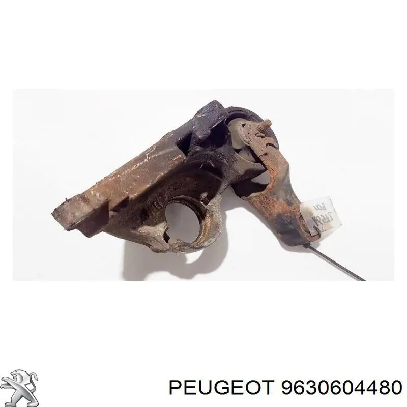 Купить 9630604480 Peugeot/Citroen 