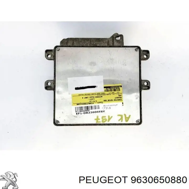 Купить 9630650880 Peugeot/Citroen 