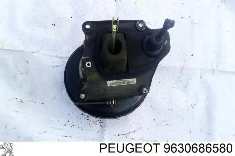  9630686580 Peugeot/Citroen