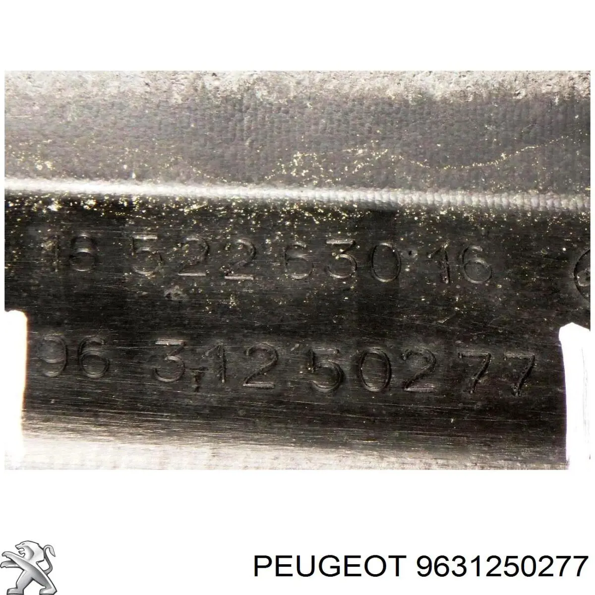9631250277 Peugeot/Citroen grelha do radiador