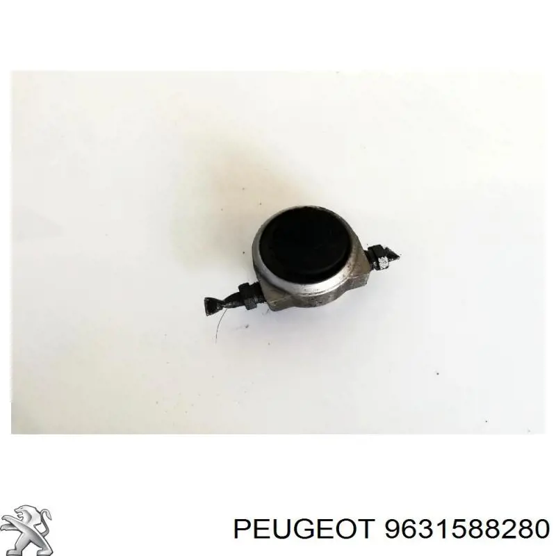 9631588280 Peugeot/Citroen 