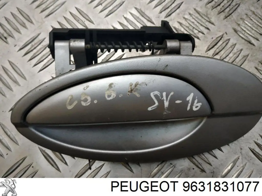 9631831077 Peugeot/Citroen 