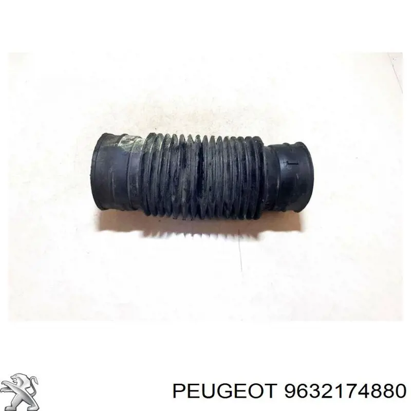 Купить 9632174880 Peugeot/Citroen 