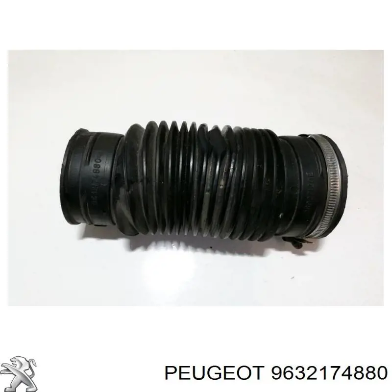 9632174880 Peugeot/Citroen 
