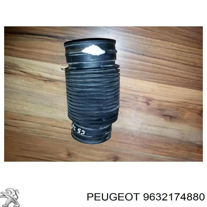  9632174880 Peugeot/Citroen