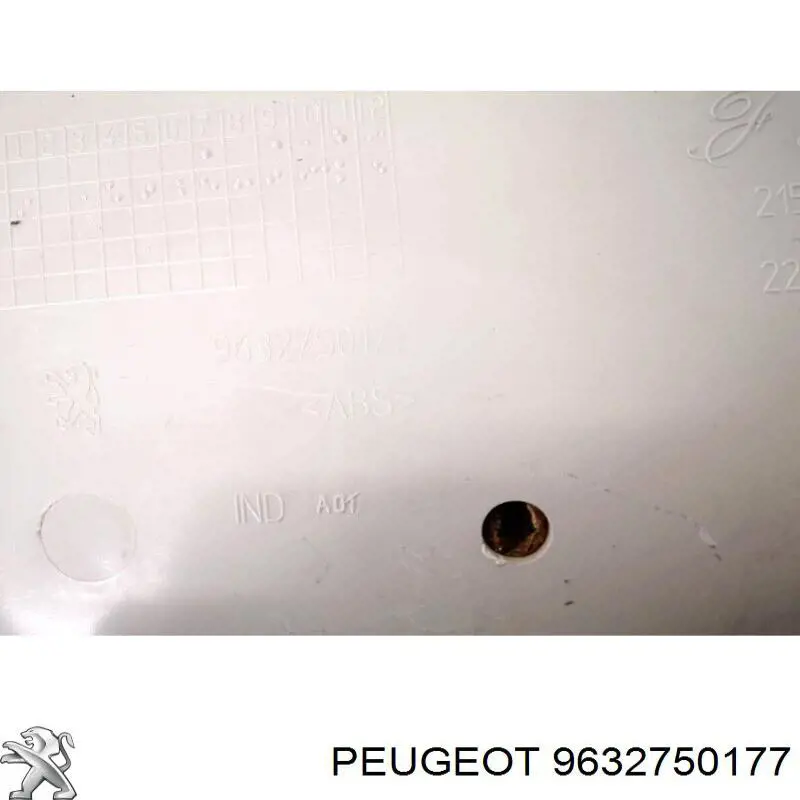 9632750177 Peugeot/Citroen 