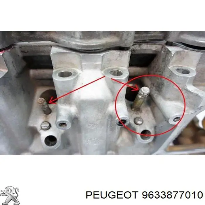 9633877010 Peugeot/Citroen 