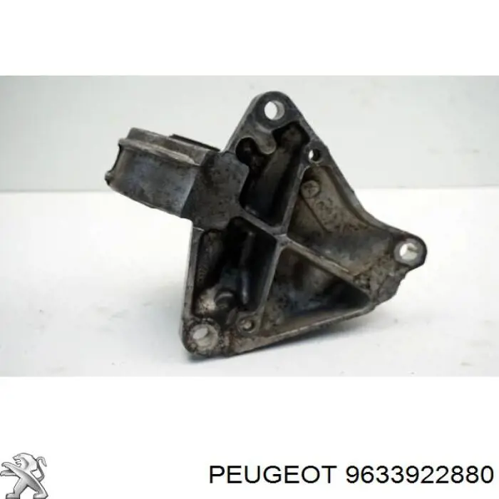 9633922880 Peugeot/Citroen 