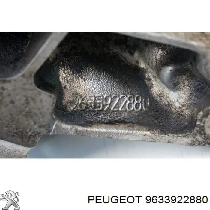 Купить 9633922880 Peugeot/Citroen 
