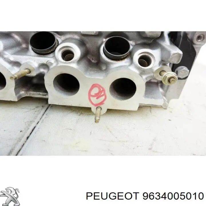 9634005010 Peugeot/Citroen 