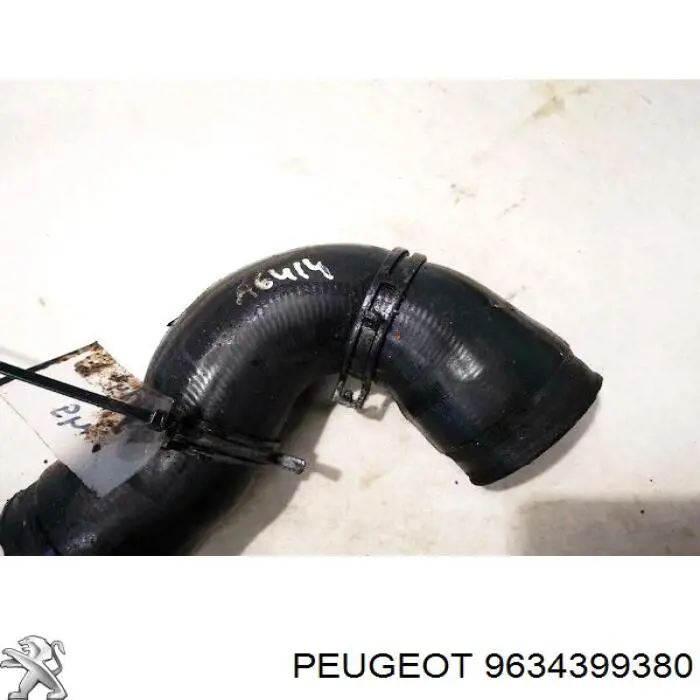  Peugeot/Citroen 9634399380
