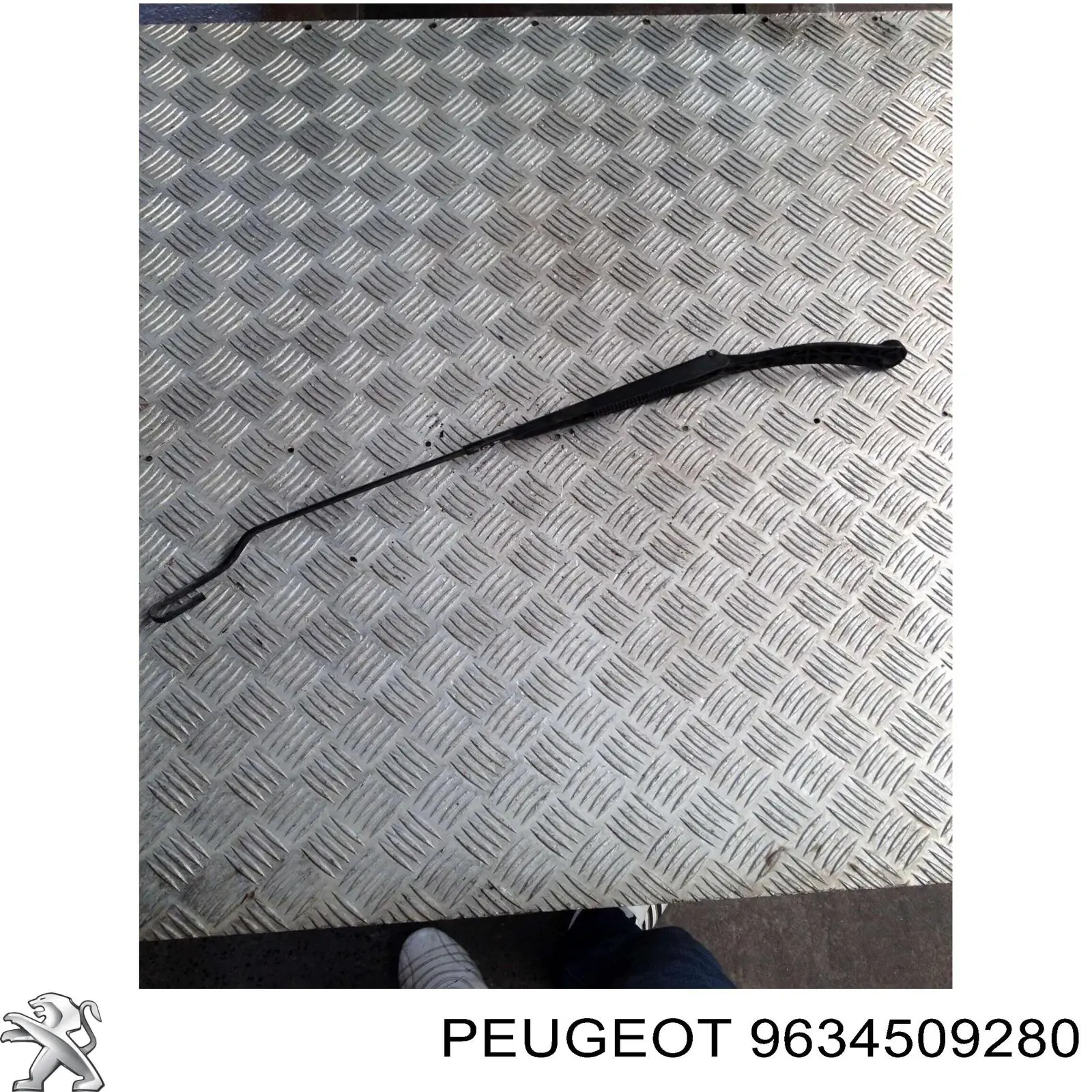 Купить 9634509280 Peugeot/Citroen 