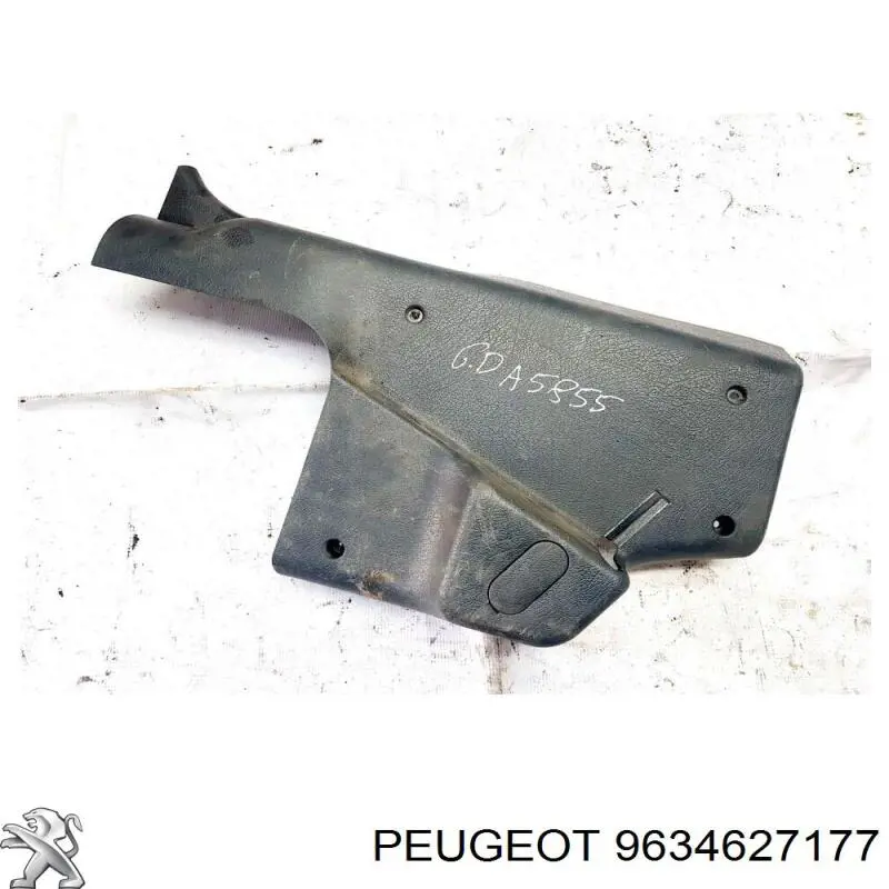 9634627177 Peugeot/Citroen 