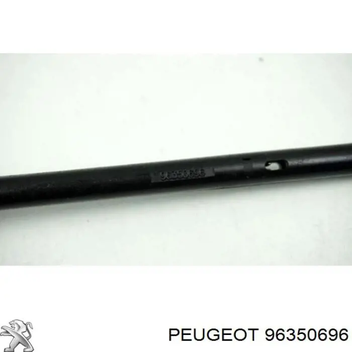 96350696 Peugeot/Citroen 