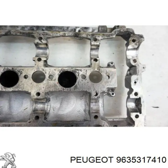 9635317410 Peugeot/Citroen 