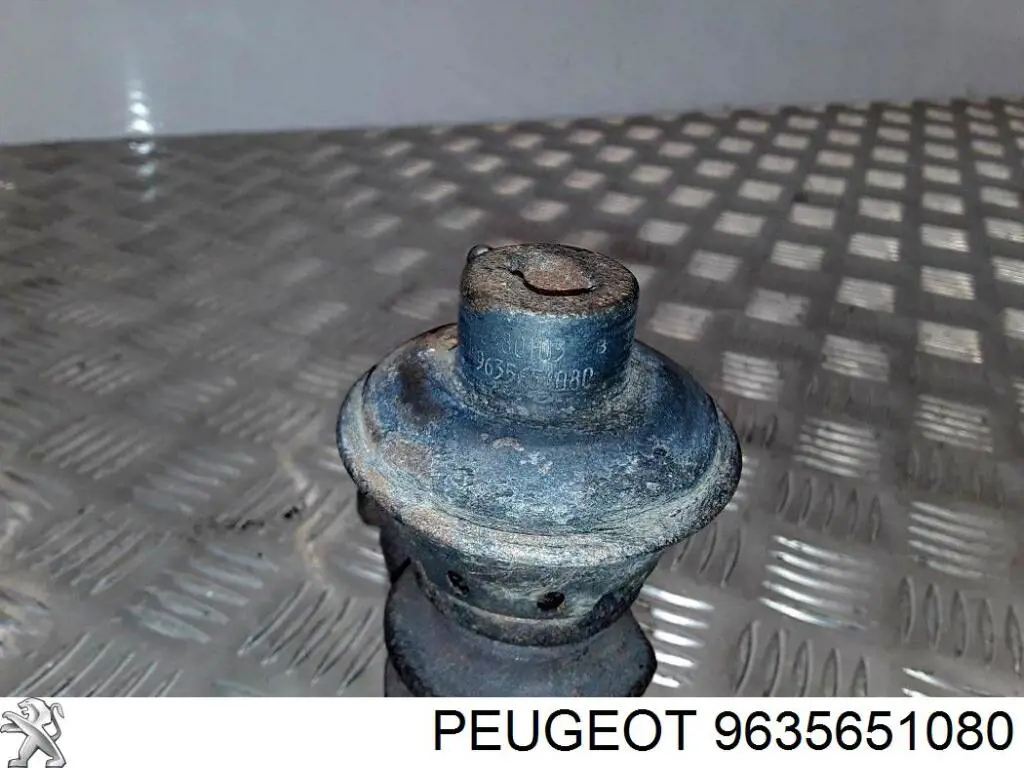Купить 9635651080 Peugeot/Citroen Клапан EGR системы рециркуляции отработавших газов
