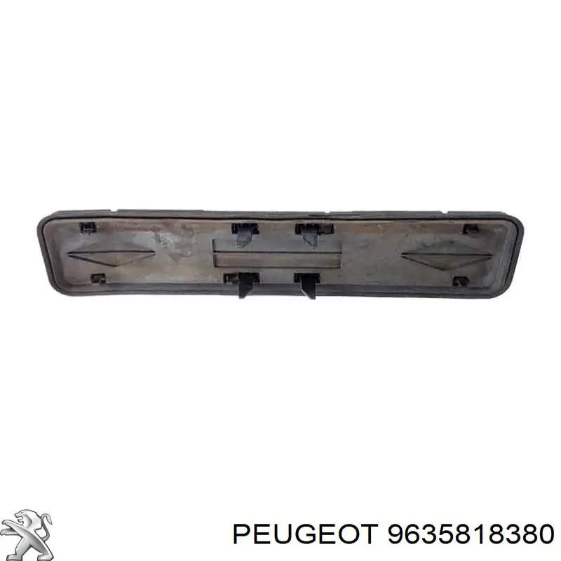 9635818380 Peugeot/Citroen 