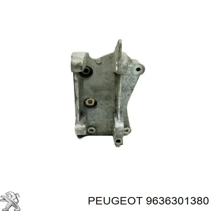 9636301380 Peugeot/Citroen 