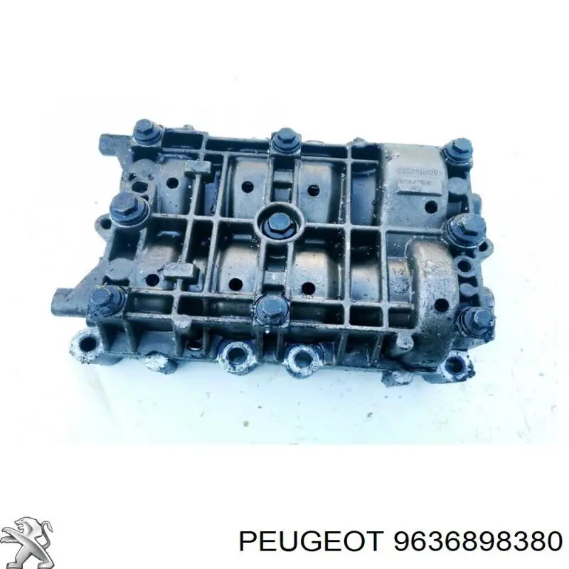  9636898380 Peugeot/Citroen