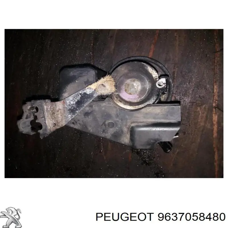PE021PUL MSG 