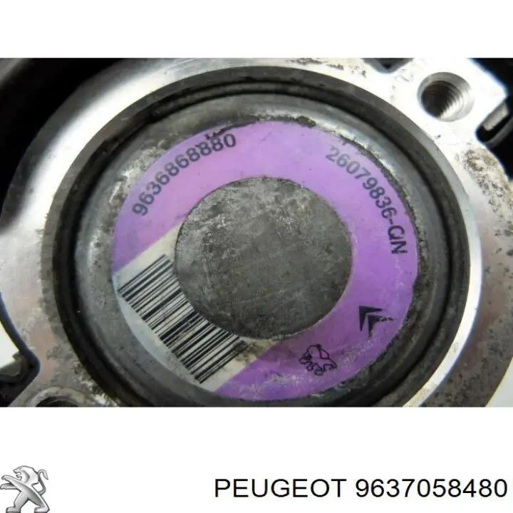  MSG PE021PUL цена, от 1.29 USD