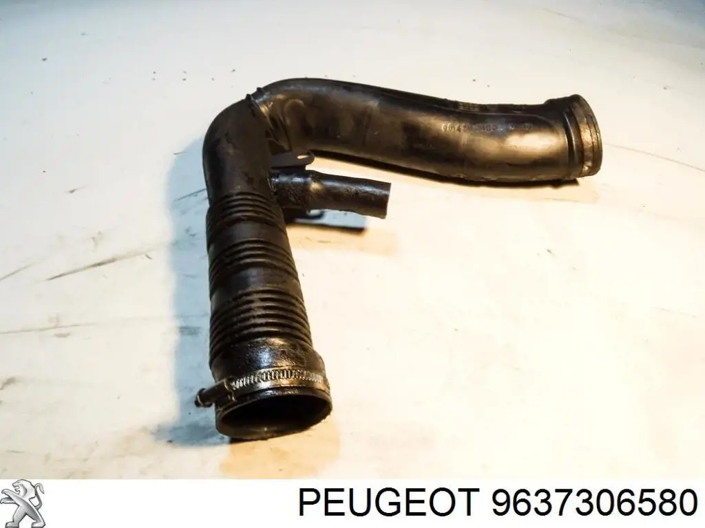 Купить 9637306580 Peugeot/Citroen 