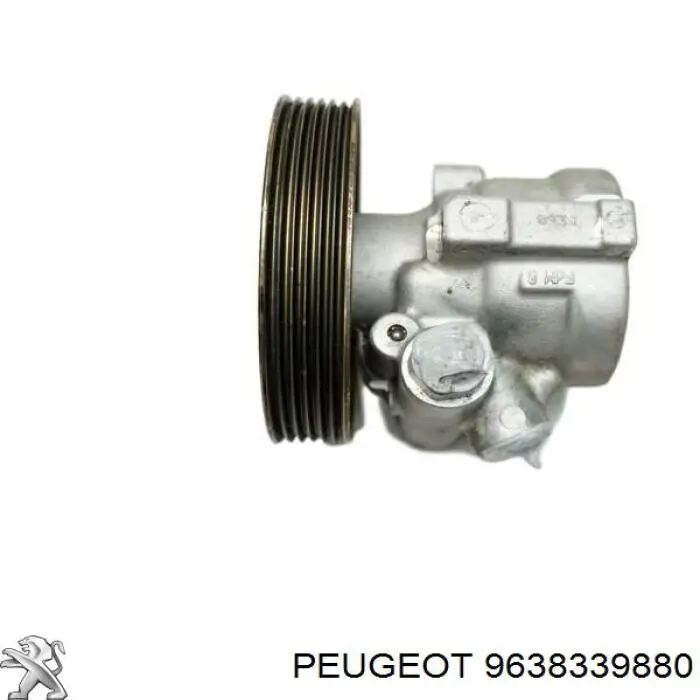 9638339880 Peugeot/Citroen bomba da direção hidrâulica assistida