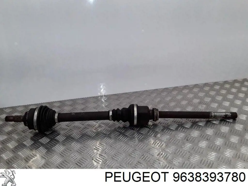 9638393780 Peugeot/Citroen 