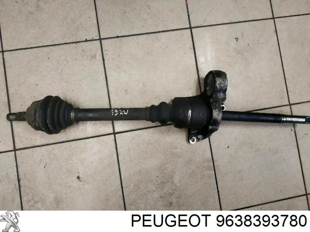 Купить 9638393780 Peugeot/Citroen 