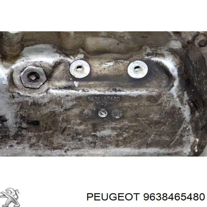  9638465480 Peugeot/Citroen