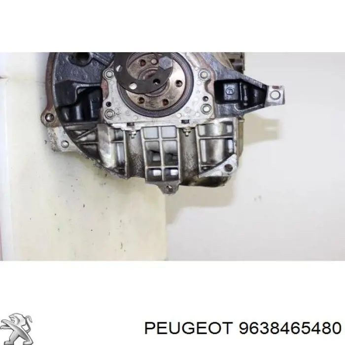  Peugeot/Citroen 9638465480