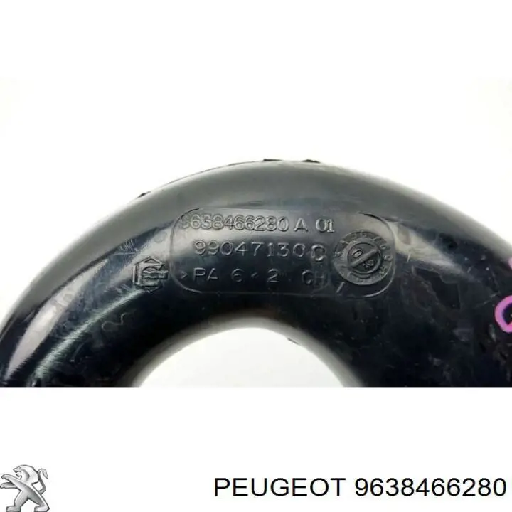  9638466280 Peugeot/Citroen