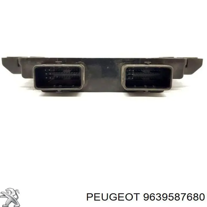 9639587680 Peugeot/Citroen 