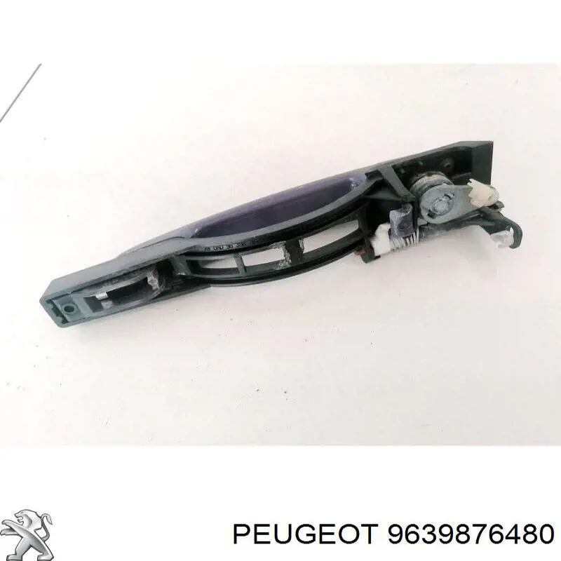 9639876480 Peugeot/Citroen 