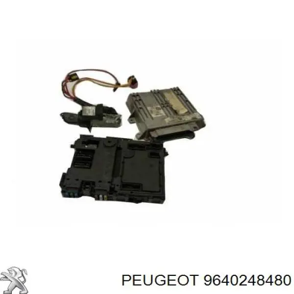 9640248480 Peugeot/Citroen 