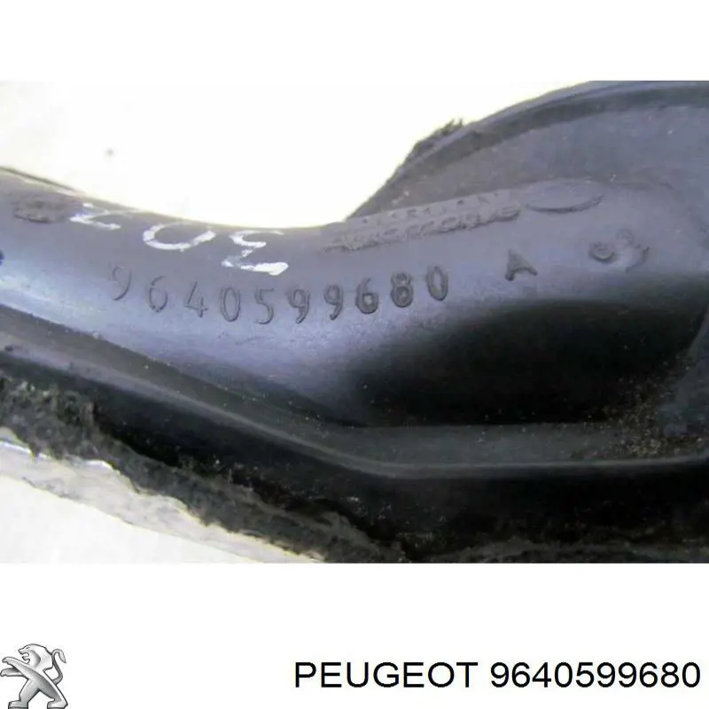 Купить 9640599680 Peugeot/Citroen 
