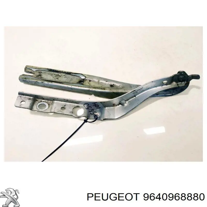  9640968880 Peugeot/Citroen