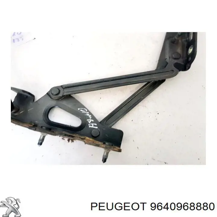9640968880 Peugeot/Citroen 