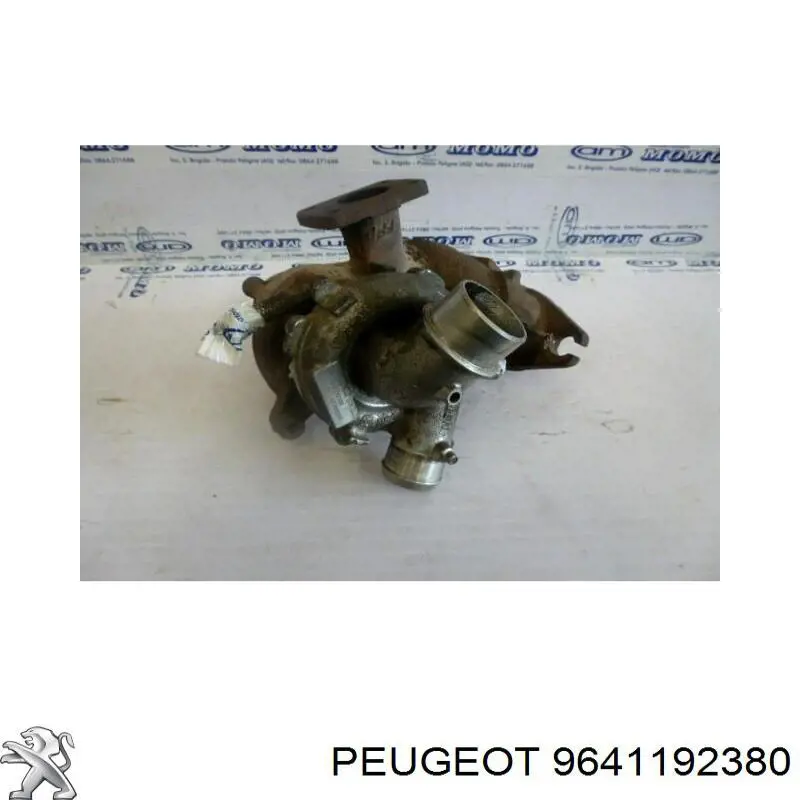 9641192380 Peugeot/Citroen