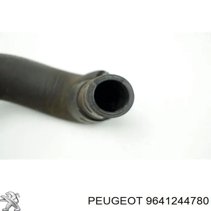  9641244780 Peugeot/Citroen