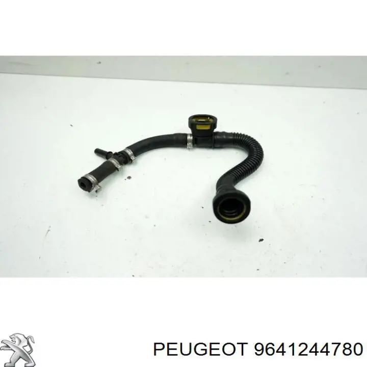 9641244780 Peugeot/Citroen 