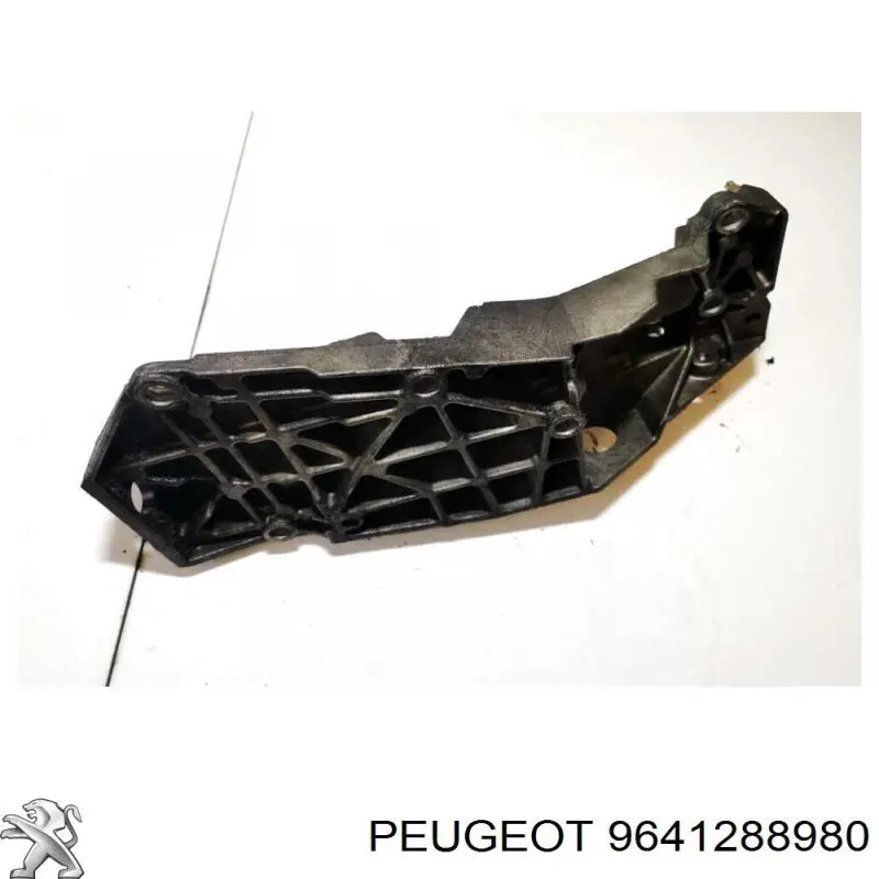  9641288980 Peugeot/Citroen