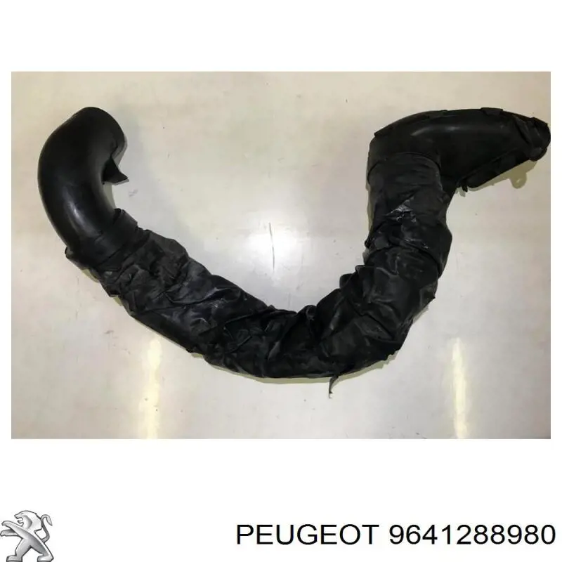 9641288980 Peugeot/Citroen 