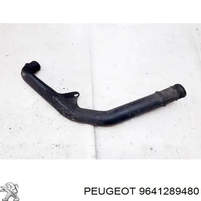 Купить 9641289480 Peugeot/Citroen 