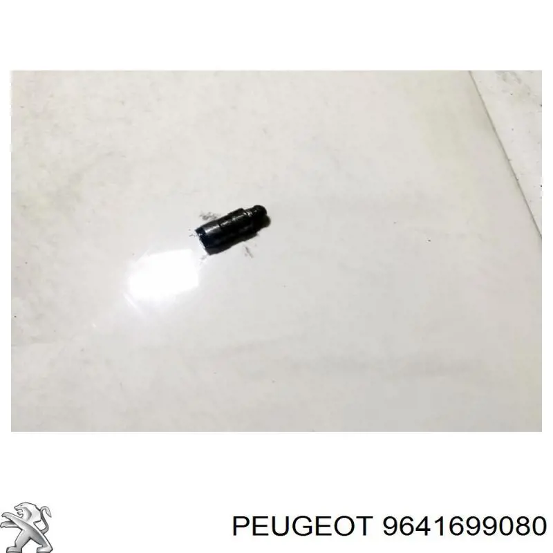  9641699080 Peugeot/Citroen