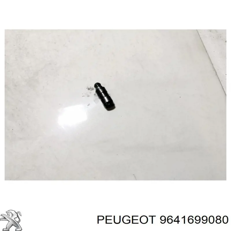  Peugeot/Citroen 9641699080 цена, от 26.10 USD